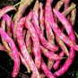 20 Pcs Pink Cranberry Bean Seeds