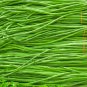 30 Pcs White Yard Long Bean Seeds