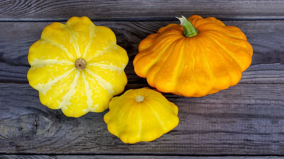 15 Pcs Squash Patty Pan Zucchini Yellow Seeds