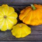 15 Pcs Squash Patty Pan Zucchini Yellow Seeds