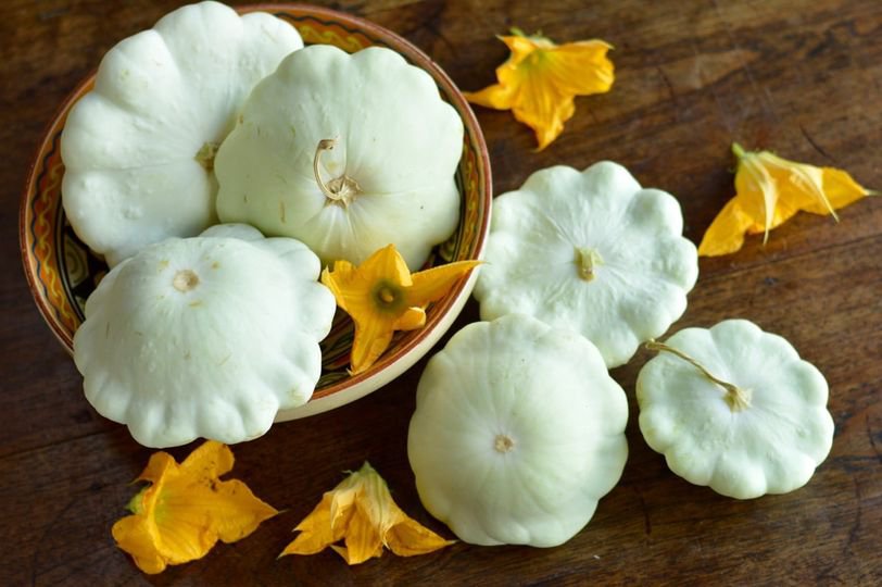 15 Pcs Squash Patty Pan Zucchini Yellow Seeds