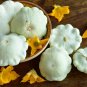 15 Pcs Squash Patty Pan Zucchini Yellow Seeds