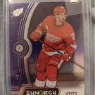 Dylaln Larkin ~Purple~ on the Detroit Red Wings -Synergy- 17/71