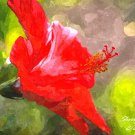 Chinese Cotton Rose Painting-Signed Artwork-Digital Download