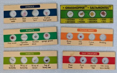 Microscope Glass Slides Vintage Prepared Plants Animals Japan