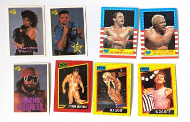 WWF WCW Dynamite Kid Wrestling Stars Trading Cards Lot