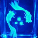2 Gold Fishes Swimming 3D Crystal + Free Light Stand SM