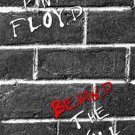 PINK FLOYD Behind The Wall DVD