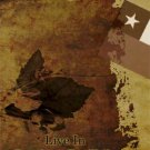BON JOVI Live In Santiago De Chile 1990 (UPGRADE) DVD