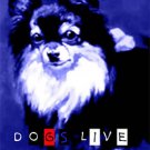 BONE MACHINE Live & Duty In U.K. 1994 DVD