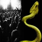 WHITESNAKE Rock Pop In Concert, Germany 1983 DVD