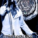 WHITESNAKE Live In Wolverhampton 2004 DVD