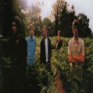 THE VERVE LIVE 1998 DVD