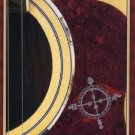 MEGADETH ACOUISTIC WRITINGS LIVE IN ARGENTINA 1998 DVD