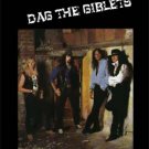 BADLANDS(JAKE E LEE) DAG THE GIBLETS DVD