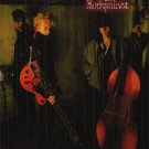 STRAY CATS ROCKPALAST 1981 DVD