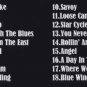 JEFF BECK LIVE OSAKA,JAPAN 2000 DVD