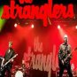 THE STRANGLERS Live At European Festivals 2012 (4 Festivals) DVD