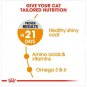 Royal Canin Feline Care Nutrition Hair and Skin 400g for adult CATS Food