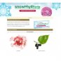 2 Box Phytoscience Snowphyll Forte Snow Algae Chlorophyll & Mulberry Leaf Extract