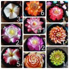Soap Carving