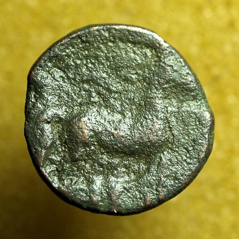 Ancient Greek Coin Carthage Zeugitania AE14mm Tanit / Horse & Palm Tree 04043