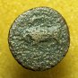 Ancient Greek Coin Agathokles Syracuse Sicily AE17mm Persephone / Bull 04046
