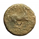 Ancient Greek Coin Hieron II Syracuse Sicily AE16mm Apollo / Horse 02832