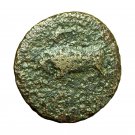 Ancient Greek Coin Agathokles Syracuse Sicily AE17mm Persephone / Bull 04046