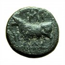 Ancient Greek Coin Miletopolis Mysia AE11mm Apollo / Bull 02794