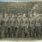 German WWII Photo Elite Troops Unit Posing at the Forest 02965