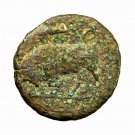 Ancient Greek Coin Hieron II Syracuse Sicily AE16mm Persephone / Bull 01768