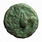 Ancient Greek Coin Neandria Troas AE11mm Apollo / Barley Corn & Grape 00221