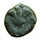 Ancient Greek Coin Rhodes AE10mm Nymph Rhodos / Rose 00915
