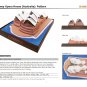 Sydney Opera House Australia 3D Paper Model Download Printable PDF Arts and Crafts, Fun Kids Adults