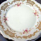 OLD MITTERTEICH GERMAN CHINA ROSELLA BREAD BUTTER PLATE