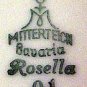 Mitterteich Rosella Pattern Luncheon or Salad Plate
