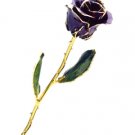  Rose - 24Kt Gold - Purple