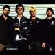 Punk & Rock CDs