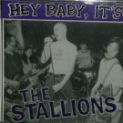 The Stallions CD Hey Baby It's..JUNK Recs RnR PUNK  $9.99 ~ FREE SHIPPING