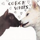 The CoachWhips CD Bangers vs Fuckers SF GARAGE PUNK NOIS ~ FREE SHIPPING