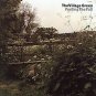 The Village Green CD Feeling the Fall power pop britpop  $9.99 ~ FREE SHIPPING