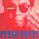 CeSar Rosas CD Soul Disguise $9.99 ~ FREE SHIPPING los lobos