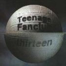 Teenage Fanclub CD Thirteen  $7.99 ~ FREE SHIPPING 13 big star power pop