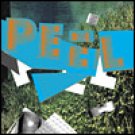 Peel CD self-titled debut $6.99 ~ FREE SHIPPING Peek-a-boo GARAGE