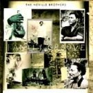 Neville Brothers CD Family Groove ~ FREE SHIPPING~ $8.99 w/Aaron STEVE MILLER