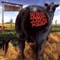Blink 182 CD Dude Ranch  ~ FREE SHIPPING~ $8.99