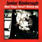 Junior Kimbrough CD Most Things Haven't Worked Out ~ FREE SHIPPING ~ $9.99 FAT POSSUM