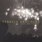 FREE SHIPPING~ $9.99 ~ Pernice Brothers CD Yours Mine & Ours alt-pop perfection w/APRIL MARCH