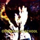 Green Magnet School CD FREE S&H~ $9.99 ~ SUB POP NOISE Blood Music a la Sonic Youth